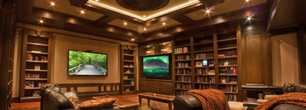 2 in 1: upscale home library and stunning home theater - 2LUXURY2.COM