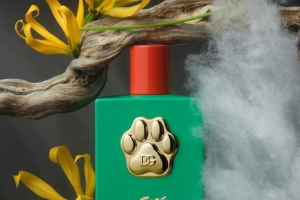 Dolce & Gabbana Luxury Meets Loyalty in a Four-Legged Fashion & Perfume Extravaganza