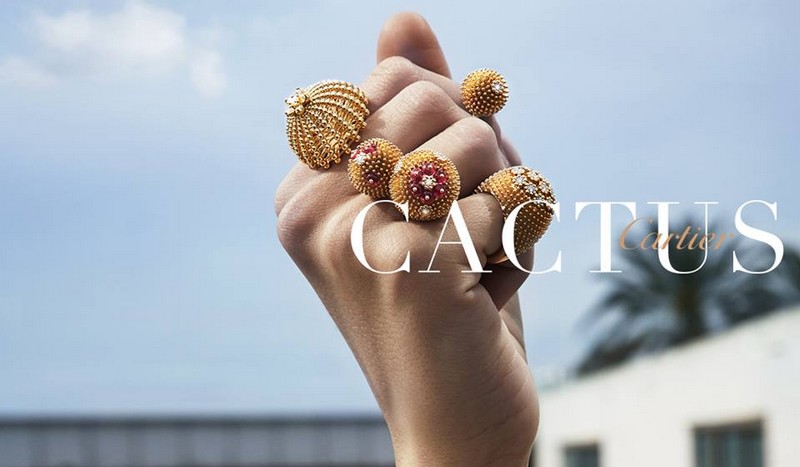 New Cactus de Cartier designs are in 