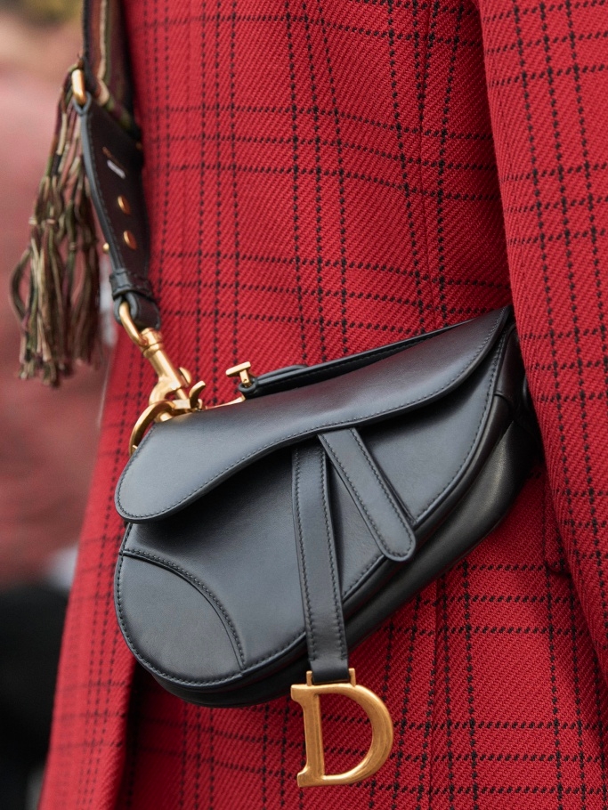 Hot Holiday Gift: Dior's Saddle Bag - GAZELLE MAGAZINE