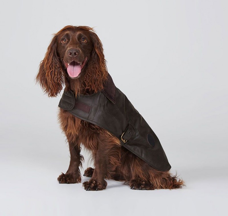 The Top Designer Brands That Offer Matching Outfits For You And Your Dog 