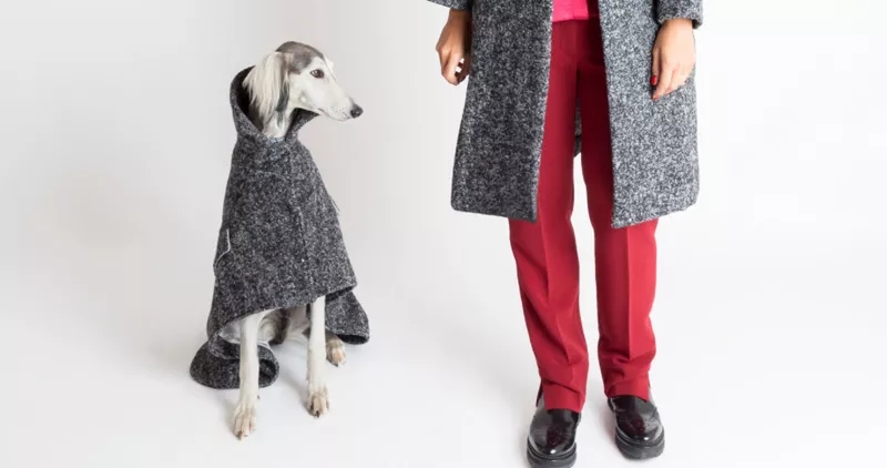 designer dog coats barbour